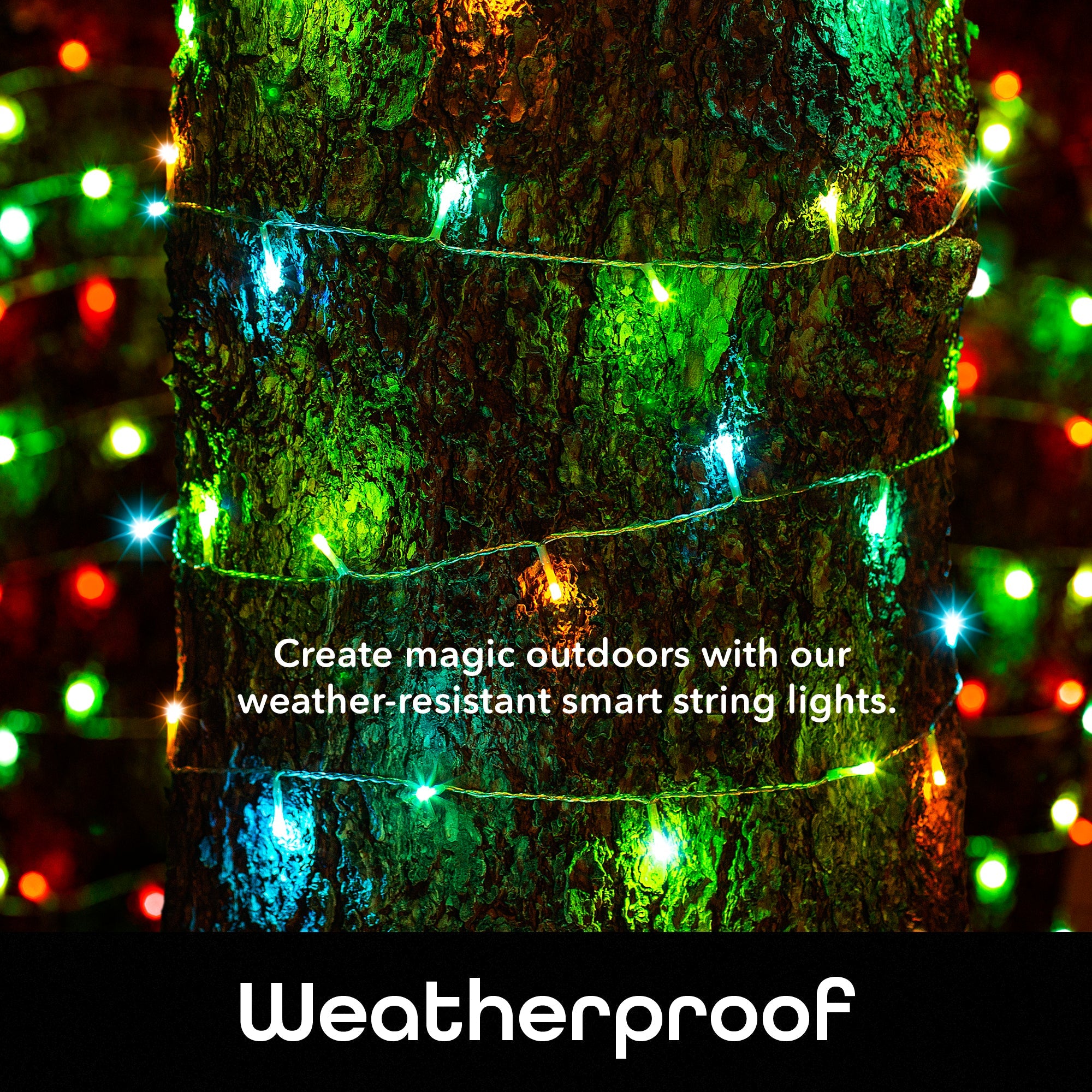 Geeni Indoor/Outdoor String Light (72 ft.)