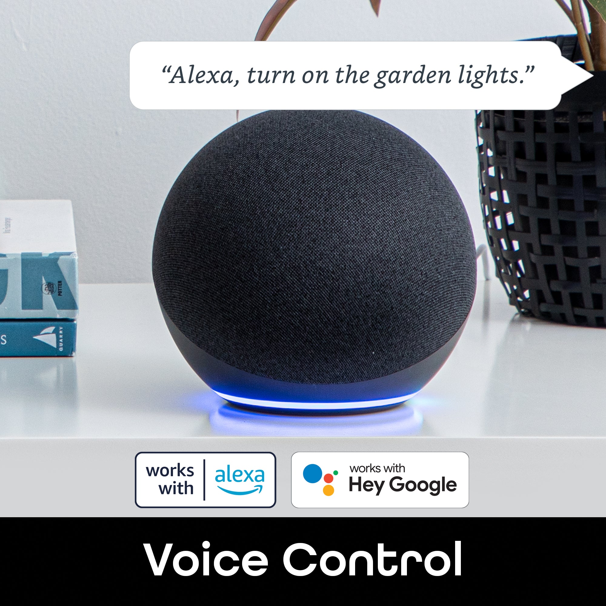 Connect Alexa Use Alexa As Wifi Speaker Connect Echo Dot Can I Use