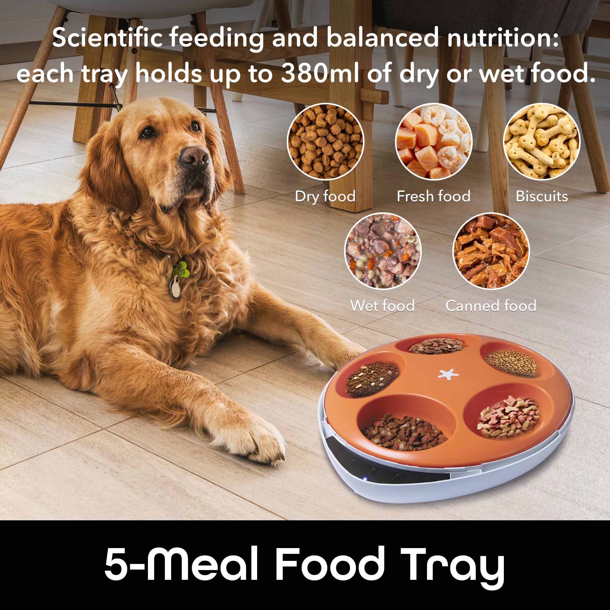 Geeni Pet Feeder