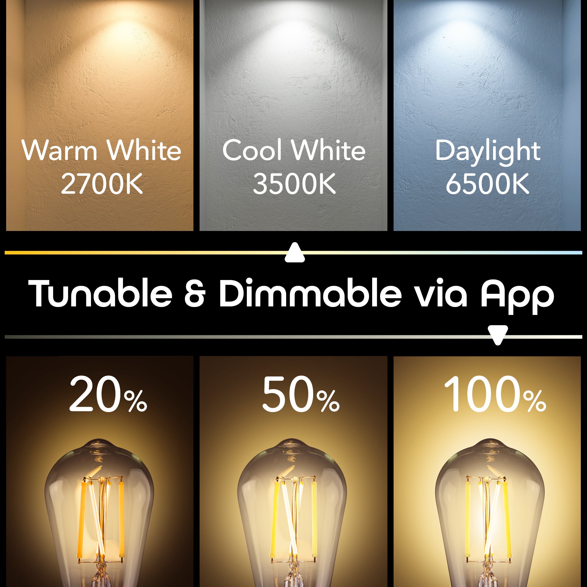 Geeni LUX Edison 60W Equivalent Tunable White Dimmable ST19 E26 Smart LED Bulb (2-Pack)