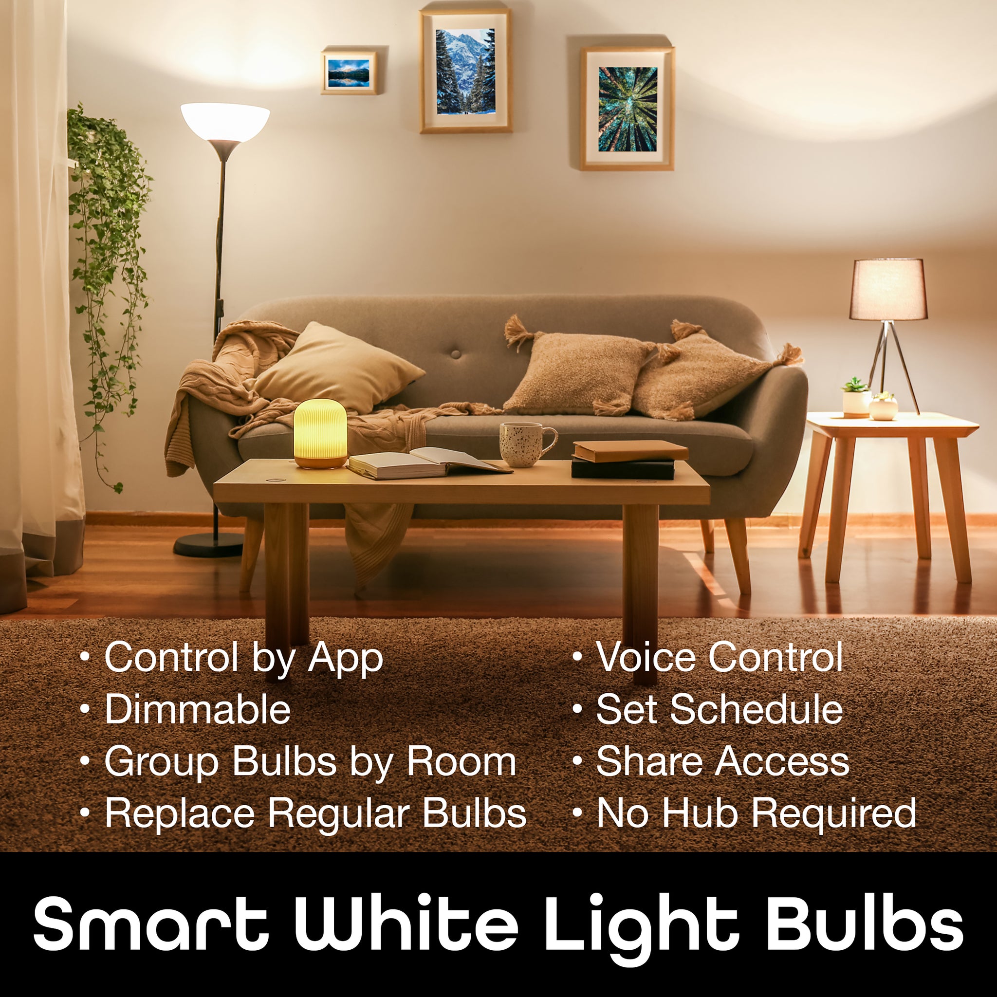 Geeni LUX 800 Warm White A19 E26 Smart LED Bulb (3-Pack)